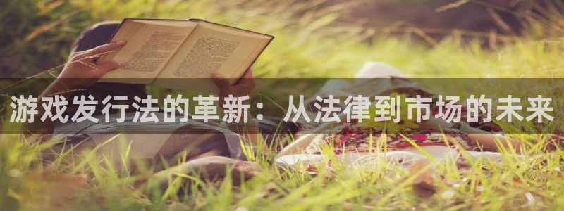 db电竞工坊：游戏发行法的革新：从法律到市场的未来
