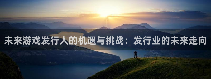 db电竞官网平台代理开号流程：未来游戏发行人的机遇与挑战：发行业的未来走向
