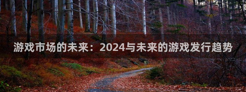 四川db电竞科技有限公司怎么样：游戏市场的未来：2024与未来的游戏发行趋势
