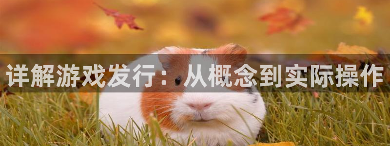 db电竞官网客服：详解游戏发行：从概念到实际操作