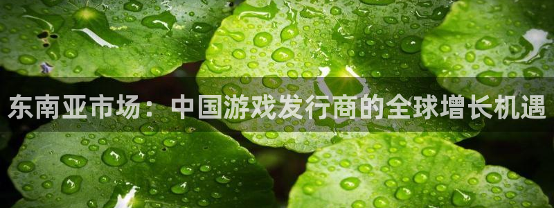 db电竞子经理人读后感：东南亚市场：中国游戏发行商的全球增长机遇