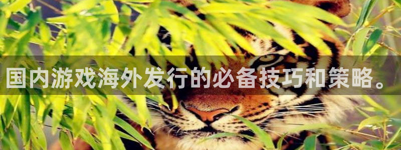 db电竞官网客服电话是多少