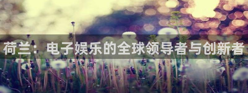 db电竞工坊：荷兰：电子娱乐的全球领导者与创新者