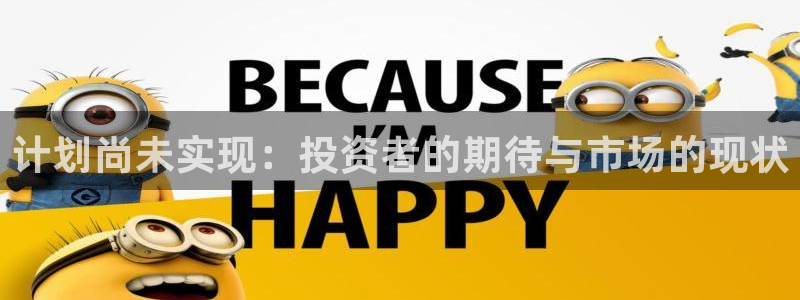 db电竞技术有限公司：计划尚未实现：投资者的期待与市场的现状