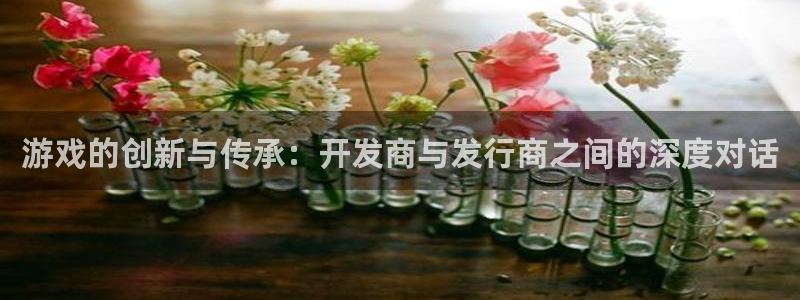 db电竞官网平台是骗局吗：游戏的创新与传承：开发商与发行商之间的深度对话