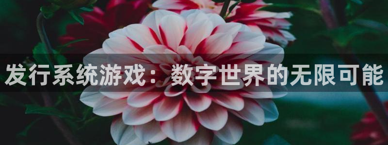 db电竞防水是几线品牌：发行系统游戏：数字世界的无限可能