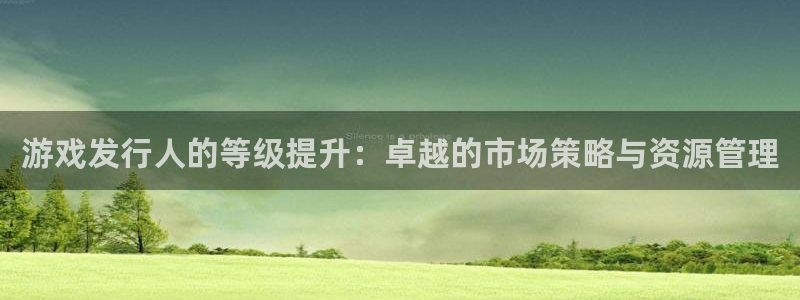 db电竞智邦：游戏发行人的等级提升：卓越的市场策略与资源管理