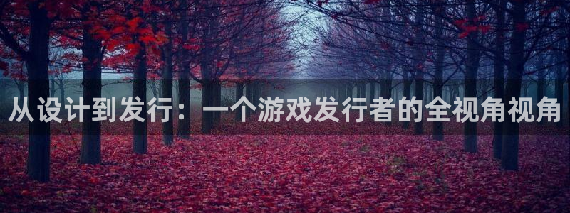 db电竞官网平台代理条件：从设计到发行：一个游戏发行者的全视角视角