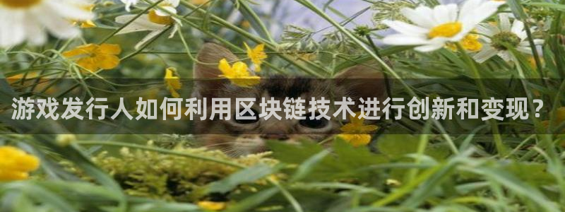 db电竞官网注册平台官网下载：游戏发行人如何利用区块链技术进行创新和变现？