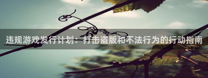 db电竞官网登录注册账号失败怎么办：违规游戏发行计划：打击盗版和不法行为的行动指南