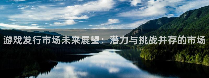 db电竞智得官网：游戏发行市场未来展望：潜力与挑战并存的市场