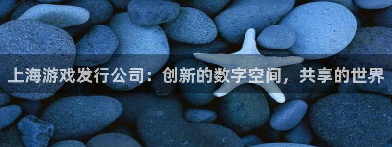 db电竞子文化是干什么的：上海游戏发行公司：创新的数字空间，共享的世界