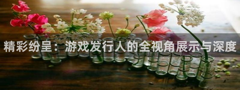 db电竞子的所有小说：精彩纷呈：游戏发行人的全视角展示与深度