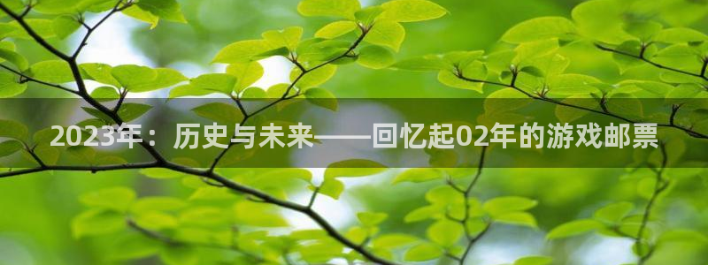 db电竞官网注册方法是什么样的：2023年：历史与未来——回忆起02年的游戏邮票