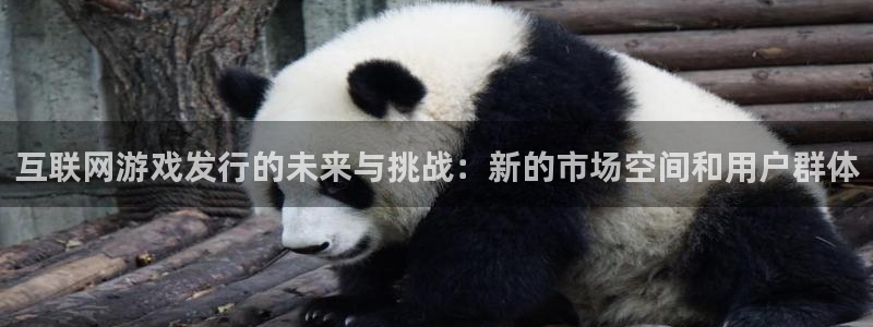 db电竞官网注册登录官网：互联网游戏发行的未来与挑战：新的市场空间和用户群体