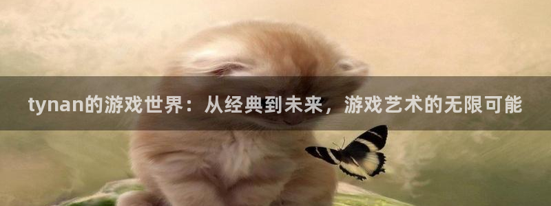 db电竞是什么：tynan的游戏世界：从经典到未来，游戏艺术的无限可能