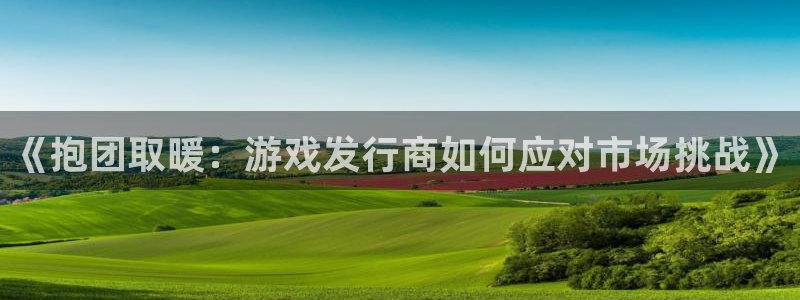 db电竞子文化是干嘛的：《抱团取暖：游戏发行商如何应对市场挑战》