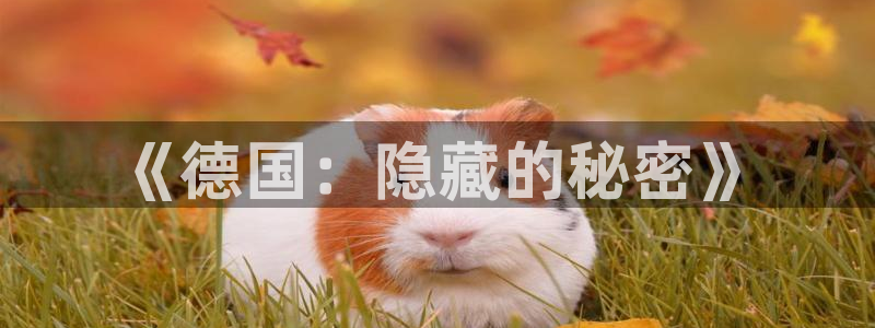 db电竞官网官网注册账号：《德国：隐藏的秘密》