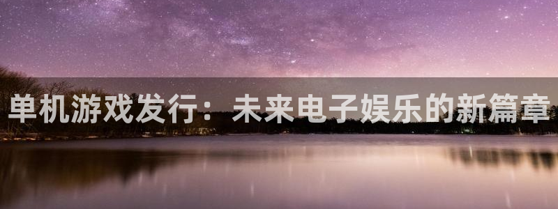 db电竞官网注册登录不了：单机游戏发行：未来电子娱乐的新篇章