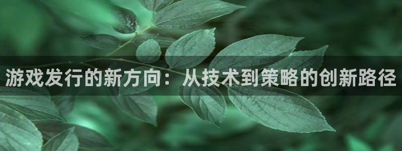 db电竞官网登录注册账号安全吗是真的吗